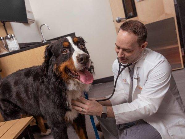 Banfield Pet Hospital