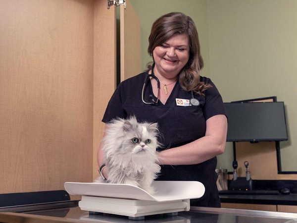 Banfield Pet Hospital