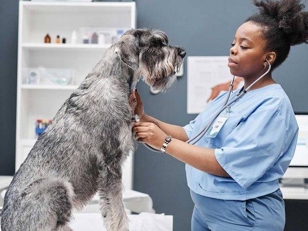 Banfield Pet Hospital