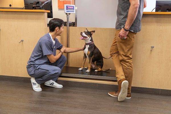 Banfield Pet Hospital