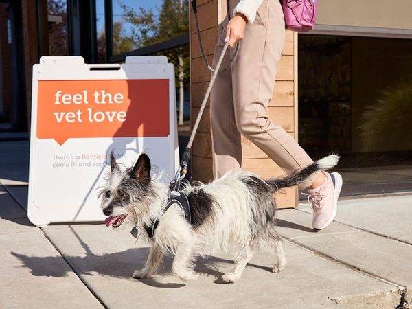 Banfield Pet Hospital