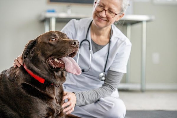 Banfield Pet Hospital