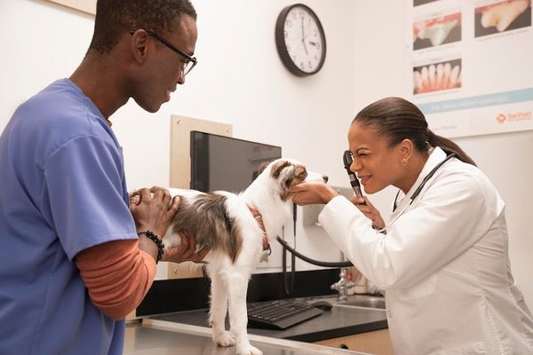 Banfield Pet Hospital