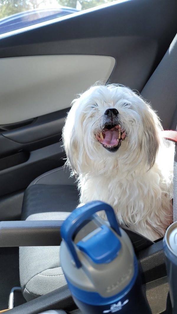 Banfield Pet Hospital